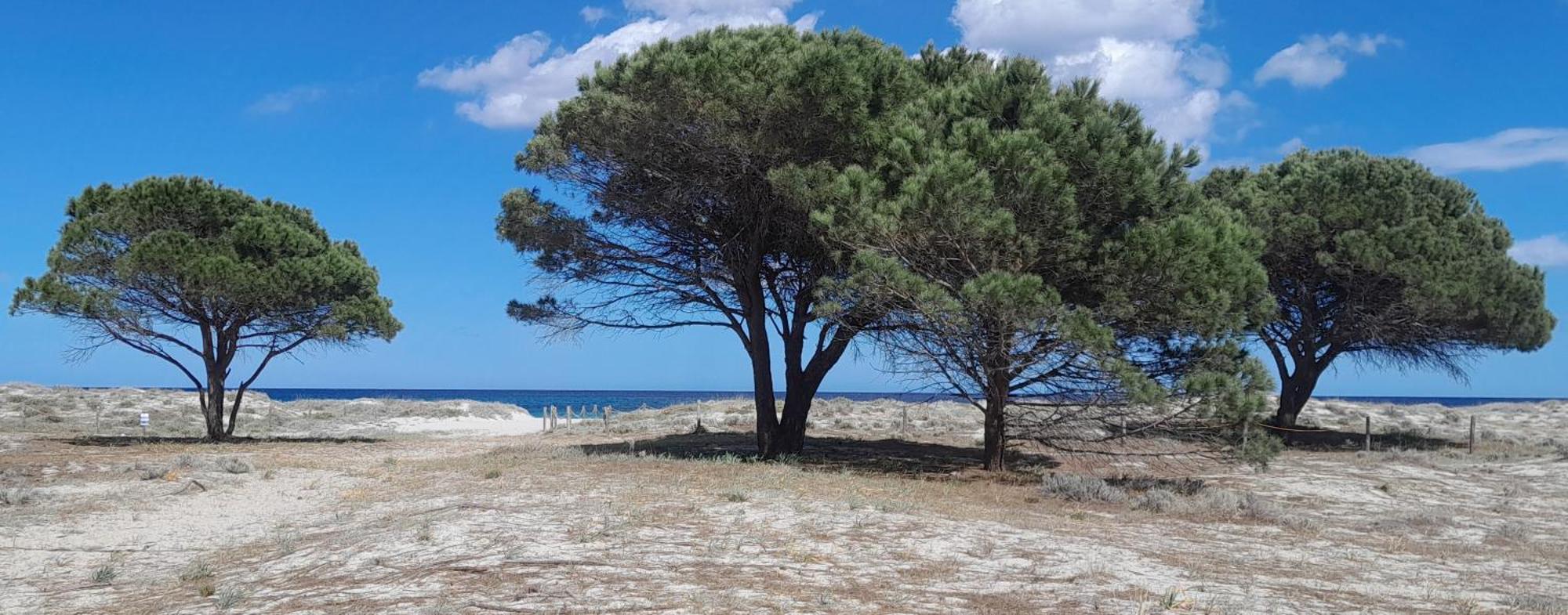 Resort Abbaia Ba Budoni Exterior photo