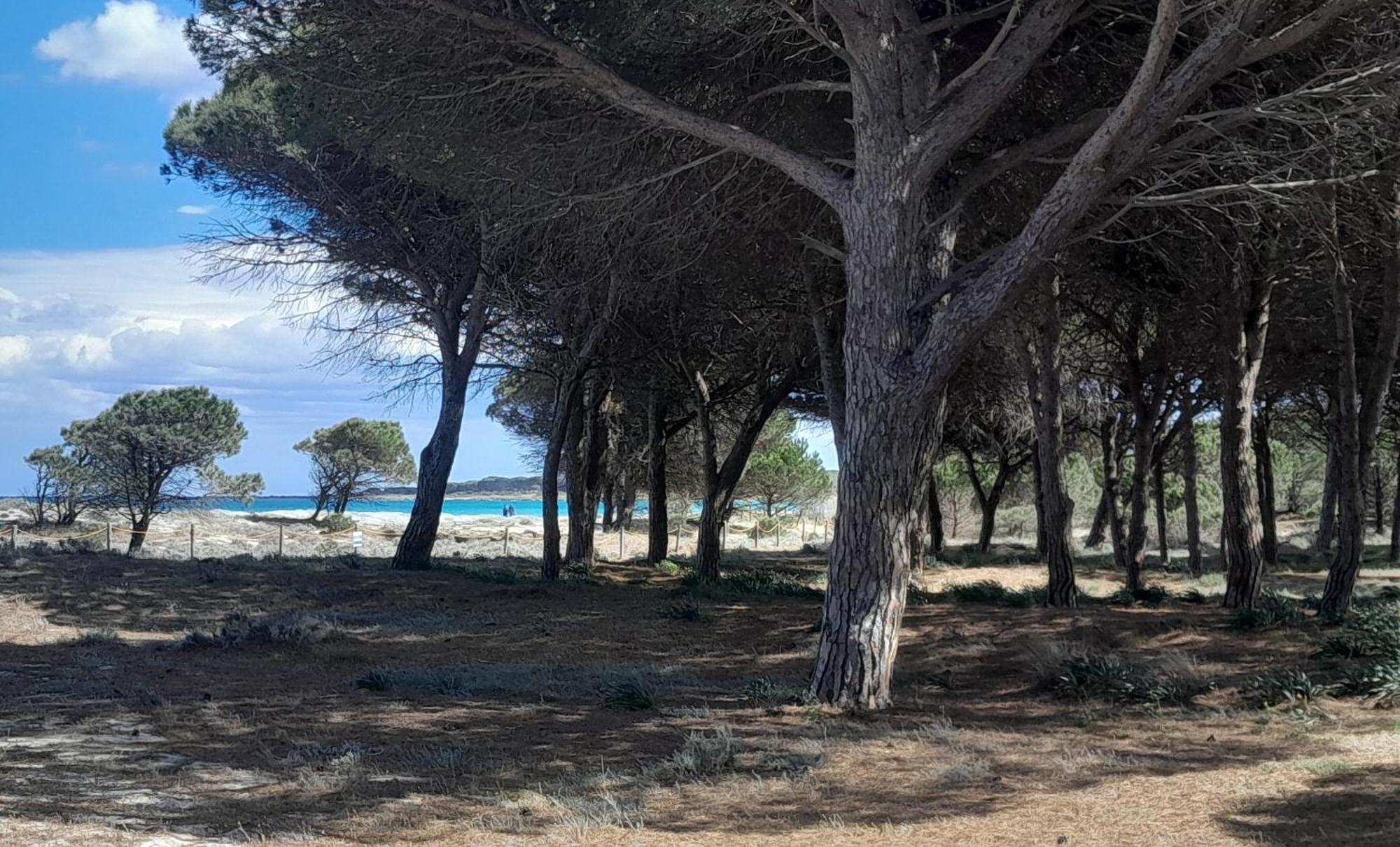 Resort Abbaia Ba Budoni Exterior photo